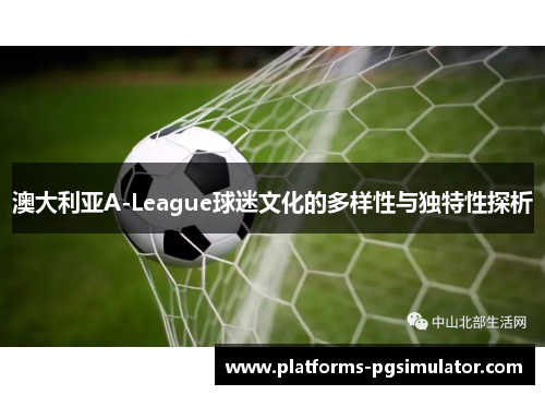 澳大利亚A-League球迷文化的多样性与独特性探析