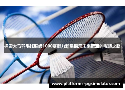 探索大马羽毛球超级1000赛潜力新星揭示未来冠军的崛起之路
